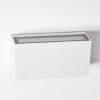 Duluth Applique da esterno LED Bianco, 1-Luce