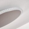 Aitrach Plafoniera LED Argento, Bianco, 1-Luce