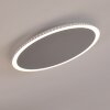 Aitrach Plafoniera LED Argento, Bianco, 1-Luce