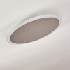 Aitrach Plafoniera LED Argento, Bianco, 1-Luce