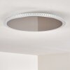 Aitrach Plafoniera LED Argento, Bianco, 1-Luce