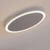 Aitrach Plafoniera LED Argento, Bianco, 1-Luce