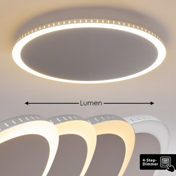 Aitrach Plafoniera LED Argento, Bianco, 1-Luce