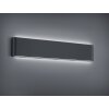 Applique da esterno Trio Leuchten THAMES II LED Antracite, 2-Luci