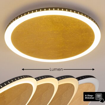 Aitrach Plafoniera LED Oro, Bianco, 1-Luce