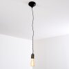 Lemone Lampadario a sospensione Nero-Oro, 1-Luce