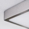 Broglen Plafoniera Nichel opaco, 1-Luce