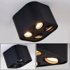 Baishan Plafoniera Nero, 4-Luci