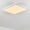 Salmi Plafoniera LED Bianco, 1-Luce, Telecomando, Cambia colore