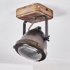 Glostrup Plafoniera Marrone, Acciaio inox, 1-Luce