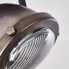 Glostrup Plafoniera Marrone, Acciaio inox, 1-Luce