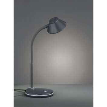 Reality BERRY Lampada da Tavolo LED Titanio, 1-Luce