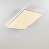 Salmi Plafoniera LED Alluminio, Bianco, 1-Luce, Telecomando