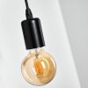 Barbengo Applique Marrone, Nero, 1-Luce