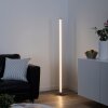 Leuchten-Direkt BELLA Lampada da terra LED Acciaio inox, 1-Luce