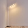 Deje Lampada da terra LED Nichel opaco, 1-Luce