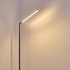 Deje Lampada da terra LED Nichel opaco, 1-Luce