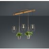 Trio Plant Lampada a Sospensione LED Marrone scuro, Nichel opaco, 3-Luci