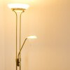 Biot Piantana LED Ottone antico, 2-Luci