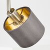 Tibro Plafoniera Ottone, Nichel opaco, 1-Luce