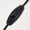Barbengo Lampada da Tavolo Legno chiaro, Nero, 1-Luce