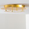 Springdale Plafoniera LED Oro, 1-Luce