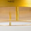 Springdale Plafoniera LED Oro, 1-Luce