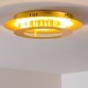 Springdale Plafoniera LED Oro, 1-Luce