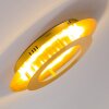 Springdale Plafoniera LED Oro, 1-Luce