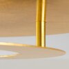 Springdale Plafoniera LED Oro, 1-Luce