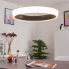 Mackay Plafoniera LED Antracite, Bianco, 1-Luce, Telecomando