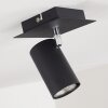 Plafoniera Zuoz Nero, 1-Luce