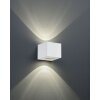 Reality CORDOBA Applique da esterno LED Bianco, 2-Luci