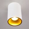 Plafoniera Grenada Oro, Bianco, 1-Luce