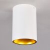 Plafoniera Grenada Oro, Bianco, 1-Luce