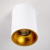 Plafoniera Grenada Oro, Bianco, 1-Luce