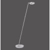 Paul Neuhaus MARTIN Lampada da terra LED Acciaio inox, 1-Luce