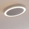 Aitrach Plafoniera LED Argento, 1-Luce