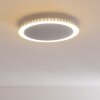 Aitrach Plafoniera LED Argento, 1-Luce