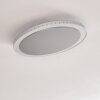 Aitrach Plafoniera LED Argento, 1-Luce