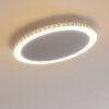 Aitrach Plafoniera LED Argento, 1-Luce