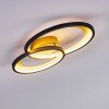 Baiyin Plafoniera LED Nero-Oro, 1-Luce