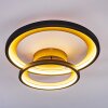 Baiyin Plafoniera LED Nero-Oro, 1-Luce