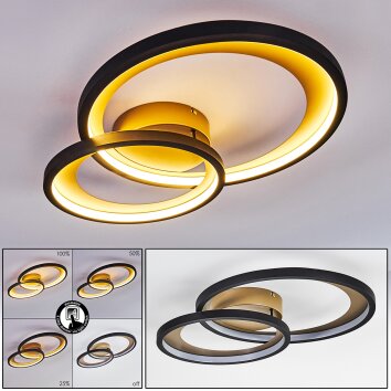 Baiyin Plafoniera LED Nero-Oro, 1-Luce