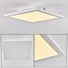 Barasat Plafoniera LED Bianco, 1-Luce