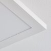 Barasat Plafoniera LED Bianco, 1-Luce