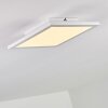 Barasat Plafoniera LED Bianco, 1-Luce