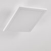 Barasat Plafoniera LED Bianco, 1-Luce