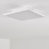 Barasat Plafoniera LED Bianco, 1-Luce