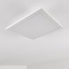 Barasat Plafoniera LED Bianco, 1-Luce